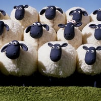 Shaun the Sheep