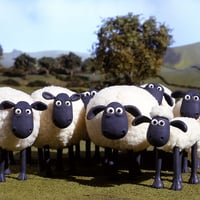 Shaun the Sheep