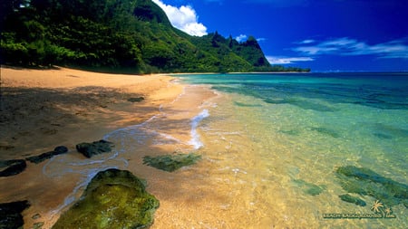 Beautiful Beach - beach, blue, beautiful, tropical, clear water