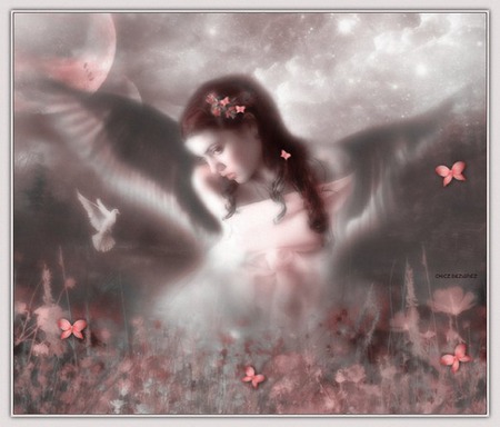 Beautiful angel - moon, birds, female, romantic, butterflies, beautiful, dove, angel, stars, dream, doves, fantasy, soft, butterfly, field