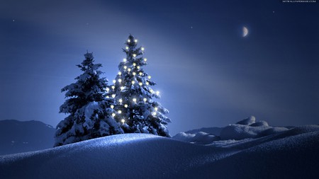 winter scenery - moon, hill, sky, pinetrees, winter, night, christmas lightining, snow, beautiful