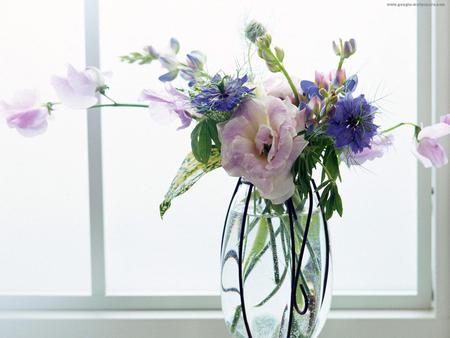 flowers vase - pink, water, beautiful, flowers, window, greens, glass vase, blue