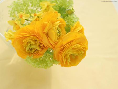 yellow - greens, flowers bouquet, yellow, beautiful