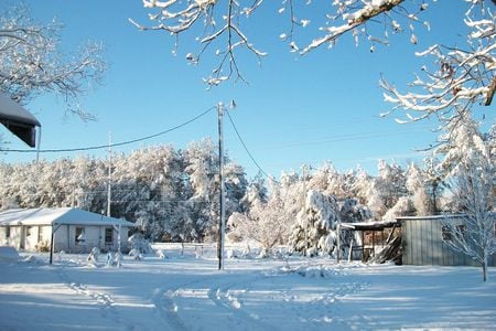 winter day - winter, nature, more snow, snow