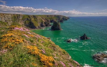 Bedruthan Steps Cornwall - coastline, hills, yellow, coast, sea, ocean, pink, orange, sand, flowers, wildflowers, path, green, cliffs, track, rocks