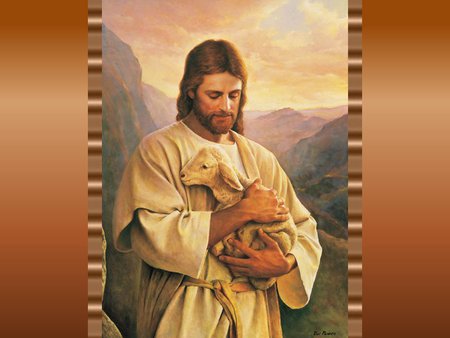 Sweet shepherd tending sheep with love - jesus christ, religion, god, lamb, shepherd, christianity