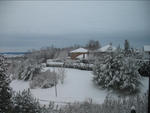 Winter 2008