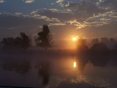 Awaiting the Sun - clouds, haze, trees, fog, orange, sun, sky