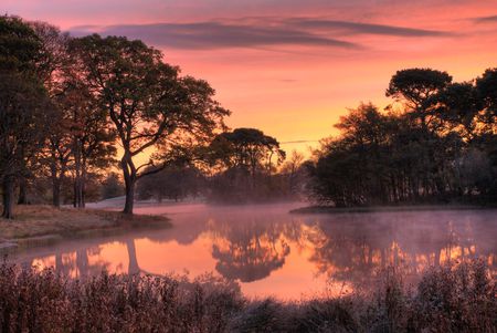 Morning Haze - purple, trees, reflection, pink, water, orange