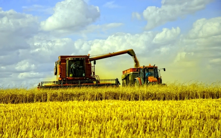 Harvest time - nature, sky, harvest, photography, time