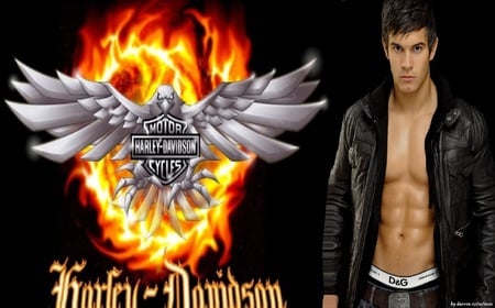 harley davidson - male, bikes, fire, model, logo