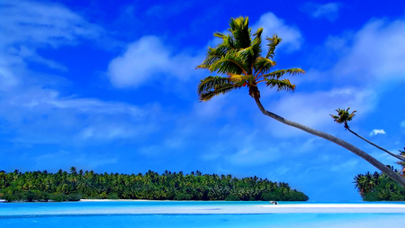 Caribbean Dreams - sky, trees, caribbean island, water, green, caribbeans, land, ocean, palm tree, islands, wave, palm, caribbean, nature, beautiful, haiti, blue, island