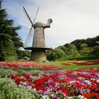 Golden Gate Park - San Francisco