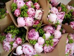 peonies