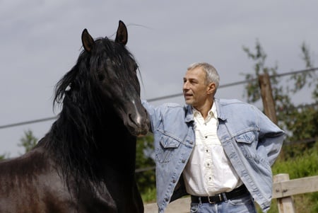 Hello My Friend - black, spanish, horses, bond, friends, andalusian