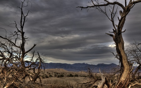 Sand Dunes Death Valley Nationa Park - nature, serene, overcast, beautiful, winter, mountains, deserts