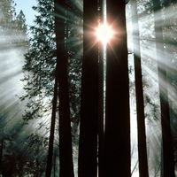 rays of yosemite vally