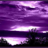 PURPLE SUNRISE