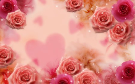 Valentine Roses - roses, pink, valentine, hearts