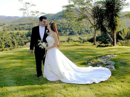 Wedding Day - groom, bride, grass, love