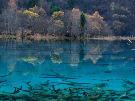 beautiful realistic reflection of shoreline