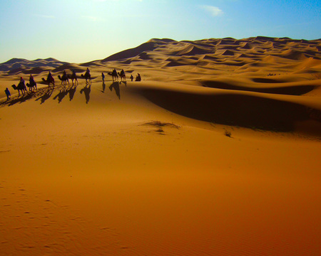 Desert crossing - dunes, hills, desert, men, riders, beautiful, gold, shadow, sand, camels, golden, animals