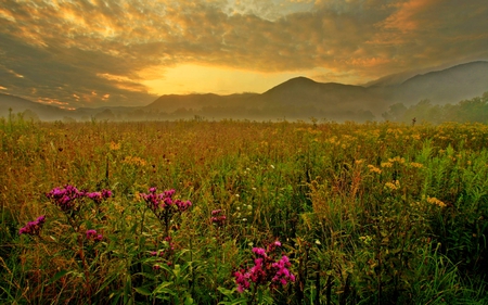 SPRING FIELD - flowers, clouds, fiels, sunset, green, spring, grass, mountain