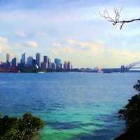 Sydney harbour