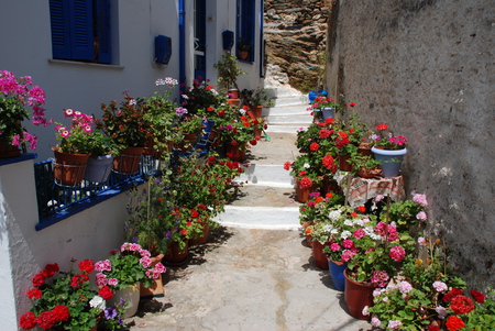 flower street - street, beautiful, pots, steps, flowers