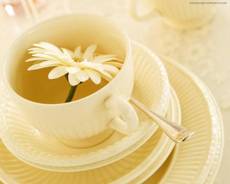 tea with daisy - white, beautiful, tea, tableware, daisy, flower, beige, teacup