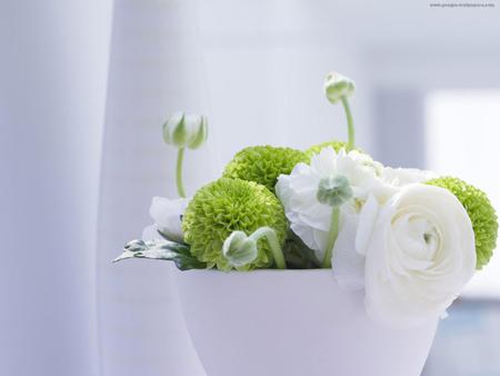 white & green - flowers, beautiful, white teacup, green