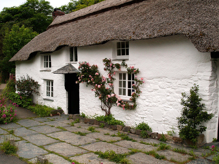 pink rose cottage - cottage, window, pink, rose, english