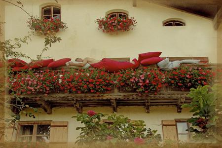 resting place in red flowers - red pillows, wooden balcony, flowers windows, red flowers, beautiful, funny, house, resting man