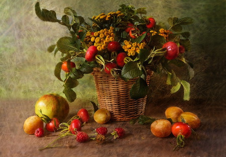 Basket of fruits - pomegranate, fruits, apricots, delicious, basket, strawberrys