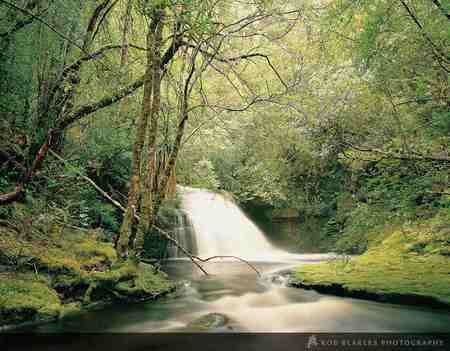 cascade - grass, trees, light, river