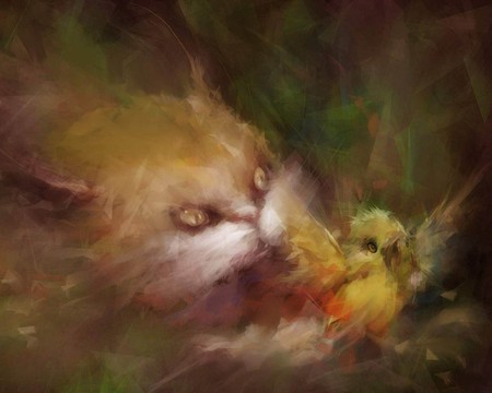 cat and bird - animals, fantasy, bird, cat, color