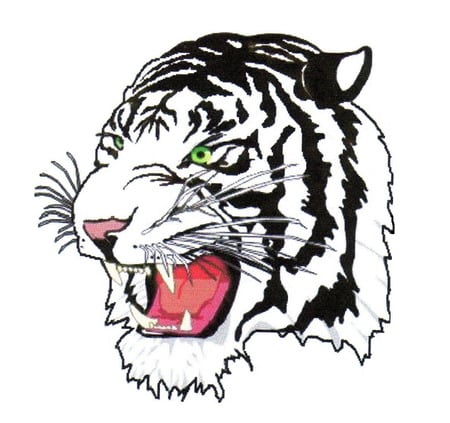 Tiger Drawing - animal, black and white, drawing, tiger