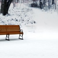 park bank IN SNOW