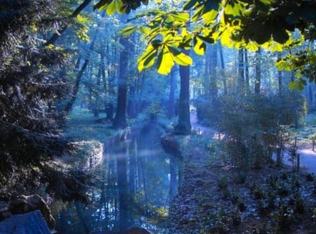 blue forest - trees, nature, blue, lake, forestes