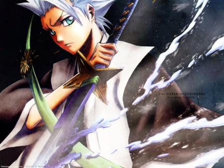 Hitsugaya toushiro - bleach