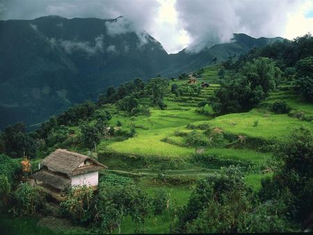 Village - nature, houses, forests, trees, landscape, mountains