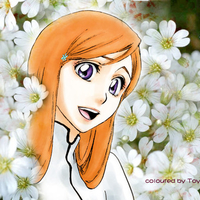 bleach-inoue_orihime