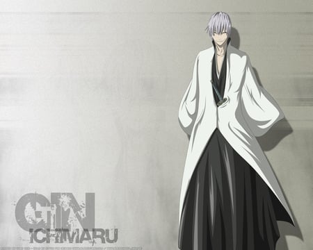 bleach-ichimaru_gin - bleach-ichimaru-gin