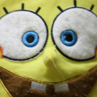 hello sponge bob