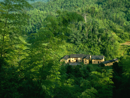 China view - house, nature, yellow, green, air, forest