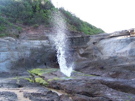 Blow Hole - errupting, water, nature, beach, blow hole, hole, rocks, blow