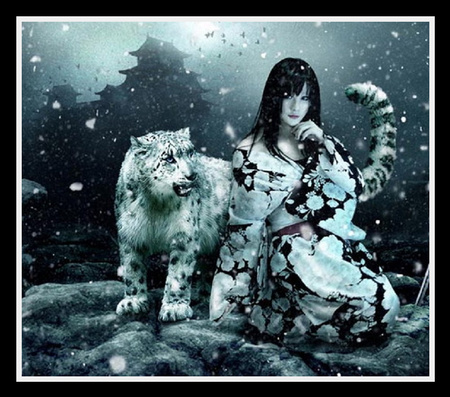 Ren-Si-Lu - leopard, abstract, geisha, snow, artwork, rock, fantasy