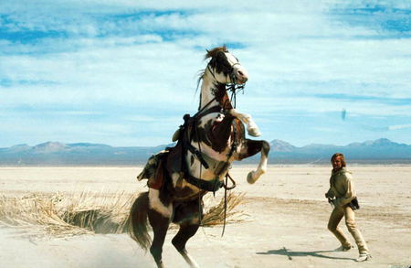 Hildago - entertainment, desert, horse, people