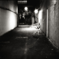 Dark Alley