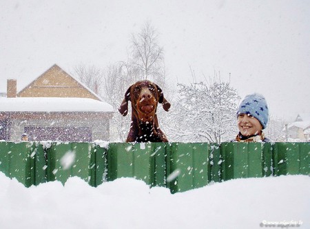 Scooby Doo - kid, winter, picture, dog, scooby doo, cool